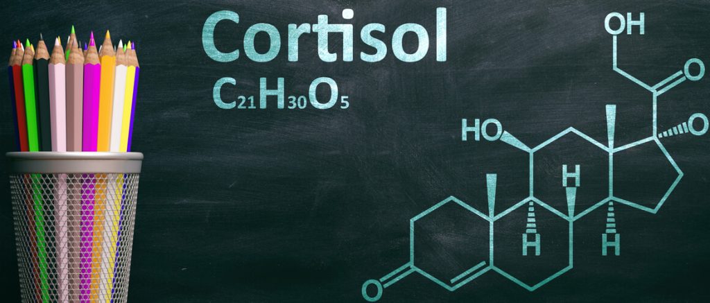 cortisol betekenis